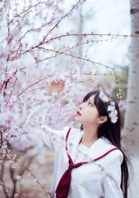 九色综合婷婷_HD天堂在线